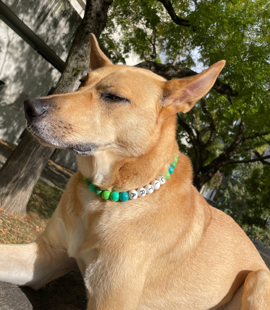 Personalized Pet Necklace with Matching Gemstone Bracelet for their human- Custom Name & Colors